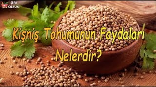 Kişniş Tohumunun Faydaları Nelerdir