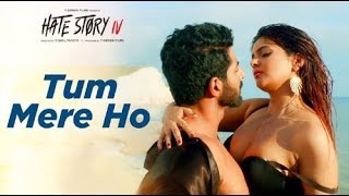 Tum Mere Ho Full Video Song 2018| Hate story 4।  Urvashi Rautela, Karan Wahi, Vivan Bhatena