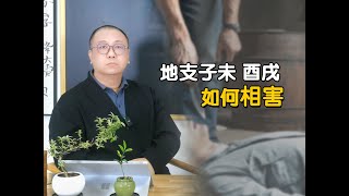 地支子未相害解析：命理中的冲克与影响