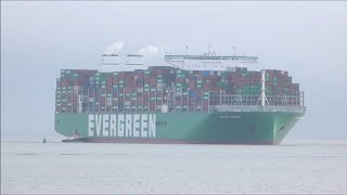 24,004TEU Ever Atop arrives to a very misty Port of Felixstowe   12th December 2024