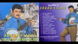 Tokatlı Şükrü Yıldız - Değirmenin Oluğu