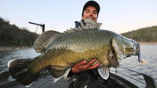 Copeton Dam - Murray cod fishing