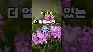 버려야 더 얻을 수 있는 4가지  #명언 #좋은글 #지혜