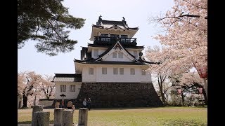 JG☆☆4K 秋田 横手城の桜 Akita,Sakura at Yokote Castle