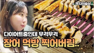 다욧중이지만, 장어먹방 | 서울장어맛집 룸이라 좋았어요 (korean food, korean eating show, vlog)