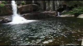 Shenbaga Devi Falls, Courtallam