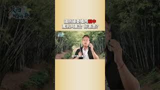 【政治啪啪款】趙天麟「中國小三」有統戰背景？民進黨抗中是工作 「親中」才是生活？@TPP_Media