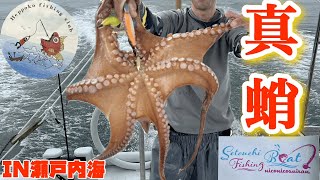 シーズン終盤？？今季初真蛸🐙🎣【遊漁船　ニコニコ水産】IN瀬戸内海