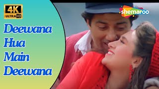 Deewana Hua Main Deewana- 4K Video | Ajay | Karisma Kapoor, Sunny Deo | Alka Yagnik | Romantic Songs