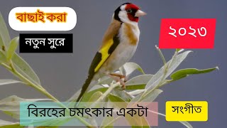 নতুন সেরা গজল | New Bangla Gazal | New Gojol | Islamic Gazal 2023 | Gozal Most Popular |