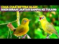 🎞️ CIAK CIAK KECIAL KUNING BETINA || BIKIN BIRAHI JANTAN SAMPAI KE TULANG || Lombok Sasak tv