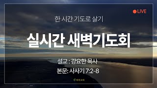 [화미교회] 25.02.27 새벽기도회 | 사 7:2-8 | 강요한 목사