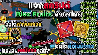 แจกสคริปต์ Blox Fruits ภาษาไทย มือถือล่าสุด สอนรับไอดีผลมังกรยุโรป ออโต้ฟาร์ม หาไอเทม ลงดันเจี้ยน