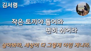 [작은 토끼야 들어와 편히 쉬어라_김서령] 아이고 불쌍한 토끼 같으니. 살아봐라, 세상이 다 그렇게 아린 게란다.