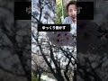 【今日使える】エモい桜動画の撮り方 桜 春 iphone