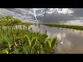 Living Worlds - Behind the Scenes | California Academy of Sciences