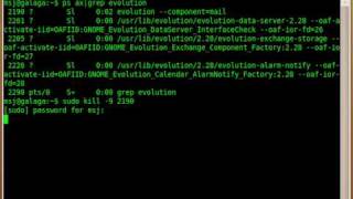 Kill a frozen Application on Ubuntu