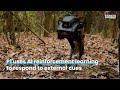 biped robot p1 mastering wilderness navigation