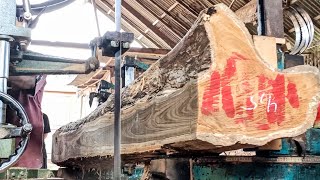Incredible wood sawmill skills - sawing of super teak at the Sawmill