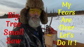 Safely Done ! The Best Of The Best For My Cabin, Showing The Dangers #offgrid Firewood S4,E02,