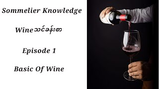 Wine Knowledge အခြေခံ သင်ခန်းစာ Episode 1