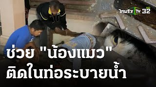 ช่วยแมวไล่หนูติดตะแกรงท่อระบายน้ำ | 19 ธ.ค. 66 | ตะลอนข่าว