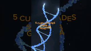 5 Curiosidades sobre la genética #biologia #ciencia #curiosidades #divulgacion #sabiasque #genetica