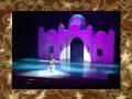 sensual veil bellydance by amira abdi