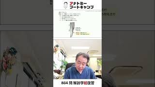 【 #国試1分道場 ・泌尿器系】腎臓について正しい記述はどれか。　１．弓状動脈は皮質と髄質との間を走る　２．遠位尿細管は腎杯に注ぐ　３．集合管はネフロンに含まれる　４．ボーマン嚢は結合組織からなる