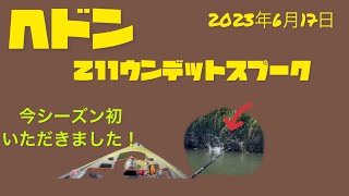 【鬼怒川バス釣り】ヘドン211ウンデットスプーク編#トップウォーター #バス釣り#ヘドン