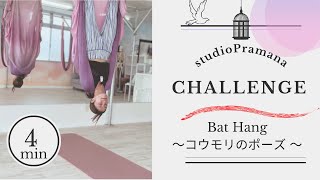 challenge！コウモリのポーズ！　 #エアリアルヨガ #ヨガ動画 #空中ヨガ  @studiopramana