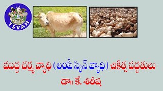 Lumpy Skin Disease (ముద్ద చర్మ వ్యాధి)