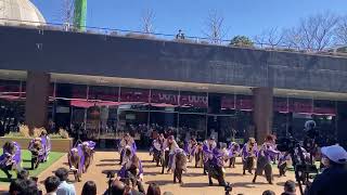 早稲田大学“踊り侍”『仁』／ご当地ふるさとウィークエンド！（2024/03/10）@東京ドームシティ／クリスタルアベニュー お祭りステージ