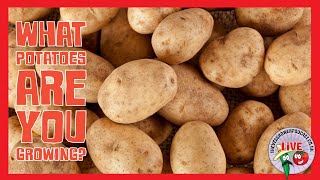 🔴Live: What varieties of potatoes are you growing in 2025?