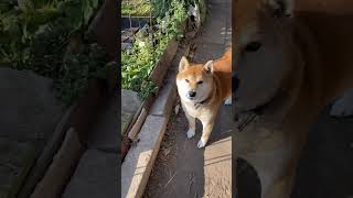 水道検針のおじさん👮‍♂️