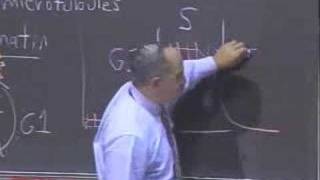 Lec 19 | MIT 7.012 Introduction to Biology, Fall 2004