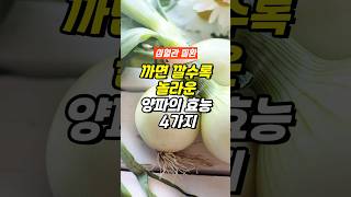 까면 깔수록 놀라운 양파의 효능과 흡수율 높히는 방법