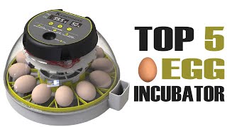 Best Egg Incubator With Automatic Turner | Top 5 Egg Incubator