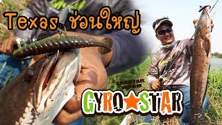 Texas ช่อนบุปเฟ่ไซส์เต็มมือกับ Gyro Star สีใหม่++