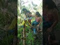 Bagtak sa bato #khemyattv #funny #comedyclips #justforfun #justlaughtrip #comedyvideos #funnyvideos