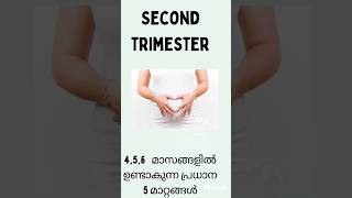 second trimester പ്രധാനപ്പെട്ട 5 മാറ്റങ്ങൾ#pregnancy💯💯#malayalam