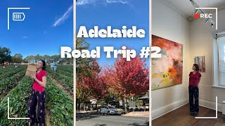 Adelaide Road Trip #2 ////オーストラリア旅行 -アデレード編-