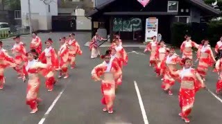 茜丸 川棚温泉 舞龍祭