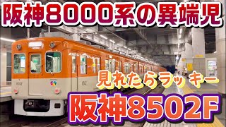 【阪神電車 8502F】前後で顔が違う！阪神大震災による被災により登場した珍車両！