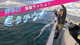 激渋シーズンからの良型ラッシュ！【冬の博多湾太刀魚釣行】