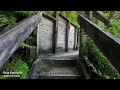 4k walk in nz ep51 part04 walk in blue spring 04 the te waihou walkway 沉浸式徒步新西兰第51集 徒步新西兰蓝泉part 04