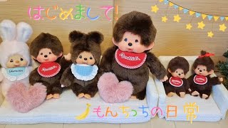 はじめまして！もんちっちの日常です🐵モンチッチとお友達の楽しい毎日🏠️✨