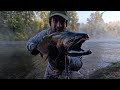 Oregon Santiam River Coho Salmon + 2 Surprise Alien Fish