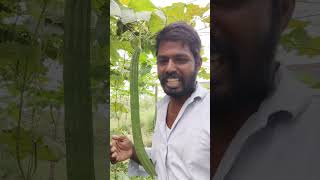 இங்க விவசாயம் தான் முக்கியம்