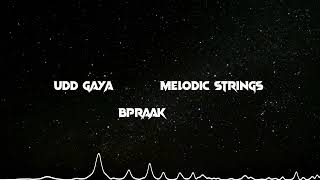 Udd Gaya - Melodic Strings REMIX (Video) || B Praak || Jaani || #Lekh